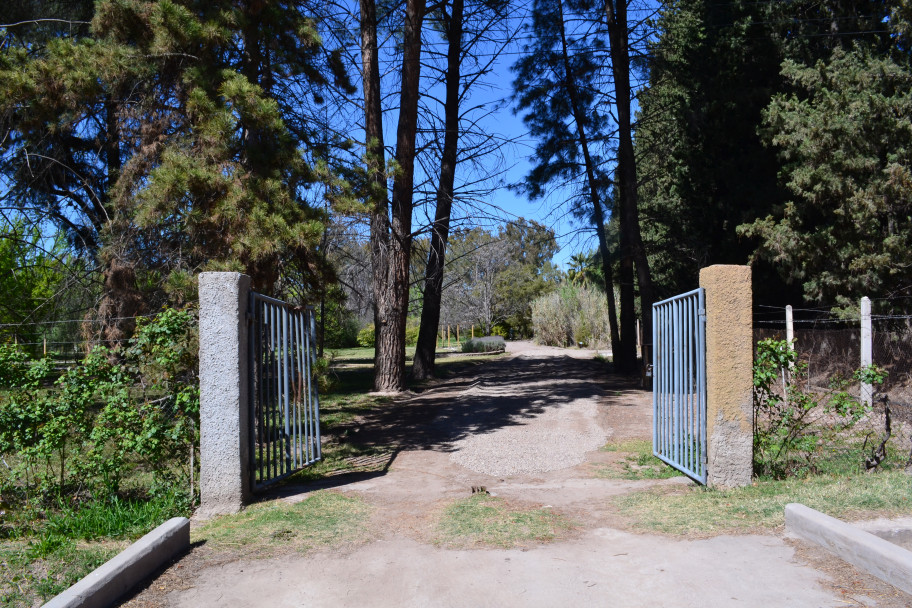 imagen El único Jardín Botánico de Mendoza abre sus puertas a toda la comunidad