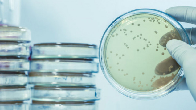 imagen Llamado a cobertura de cargo interino de la Cátedra de Microbiología