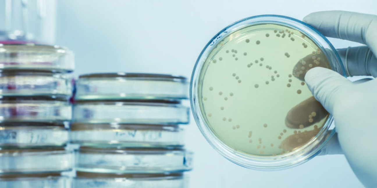 imagen Llamado a cobertura de cargo interino de la Cátedra de Microbiología