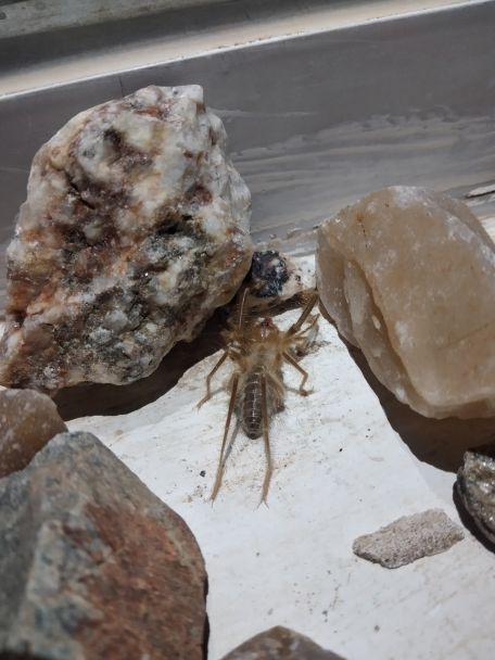 imagen Estudiantes de Ciencias Agrarias visitaron las lagunas Guanacache, Desaguadero y Bebedero