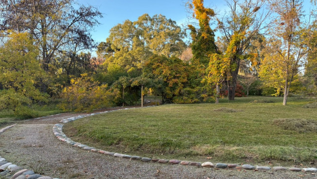imagen Ciencia viva en Chacras de Coria: el valor educativo del jardín botánico de la provincia