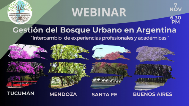 imagen Webinar: Gestión del bosque urbano en Argentina