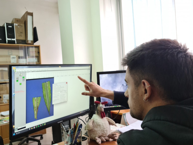 imagen Moving Italianness: una experiencia de cooperación internacional que fortalece la proyección académica de la FCA