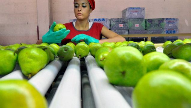 imagen Capacitación en producción orgánica en la FCA