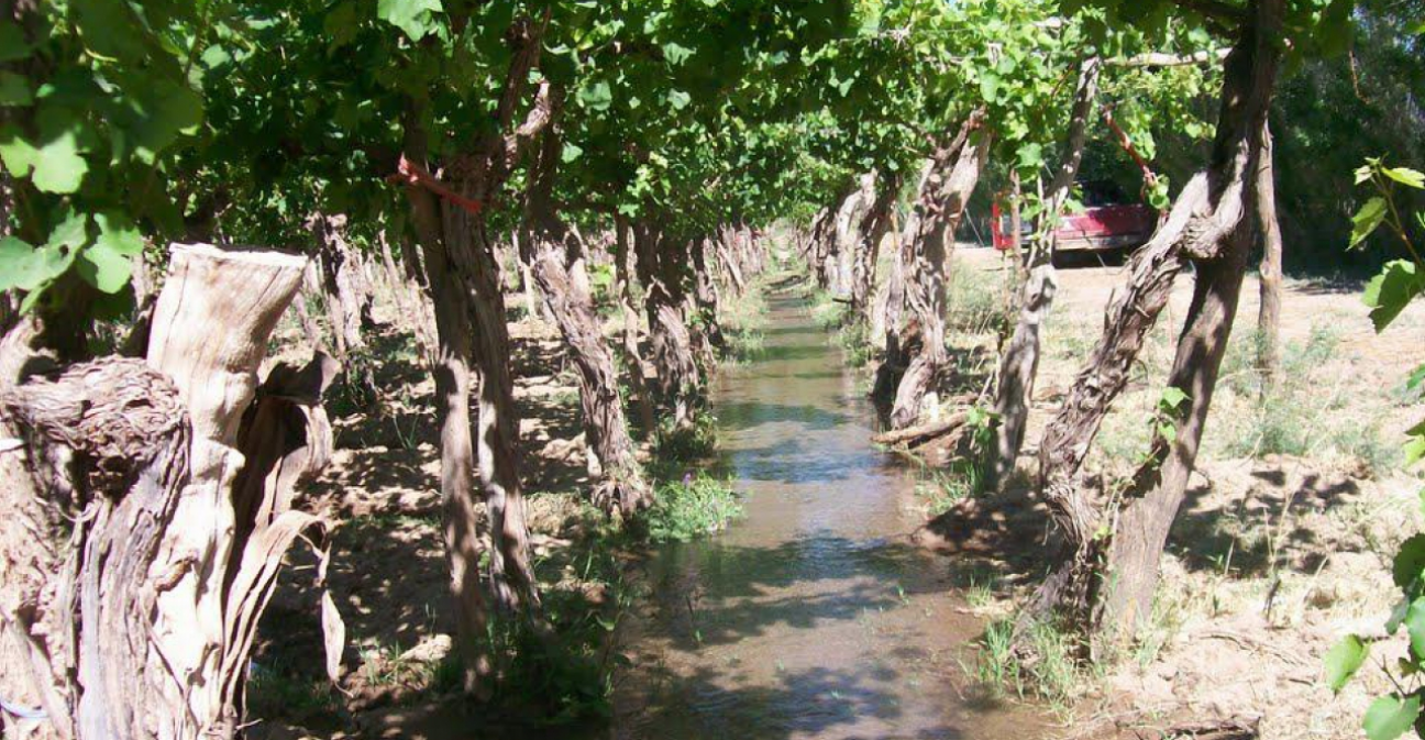 imagen Llamado a cobertura de cargo interino de la Cátedra de Hidrología Agrícola