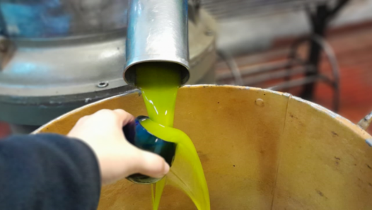 imagen Inscriben al curso-taller de Elaboración de Productos Frutihortícolas con Valor Agregado: Aceite de Oliva  Virgen, Producción y Calidad