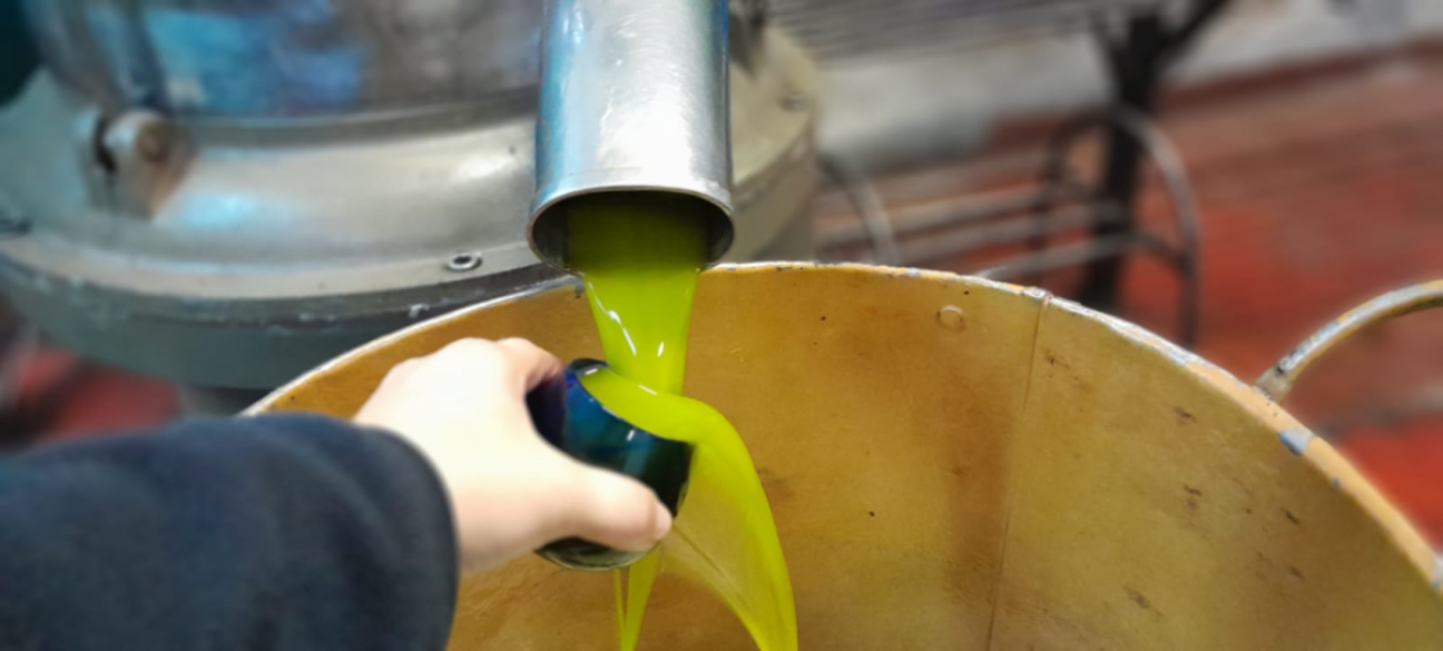 imagen Inscriben al curso-taller de Elaboración de Productos Frutihortícolas con Valor Agregado: Aceite de Oliva  Virgen, Producción y Calidad