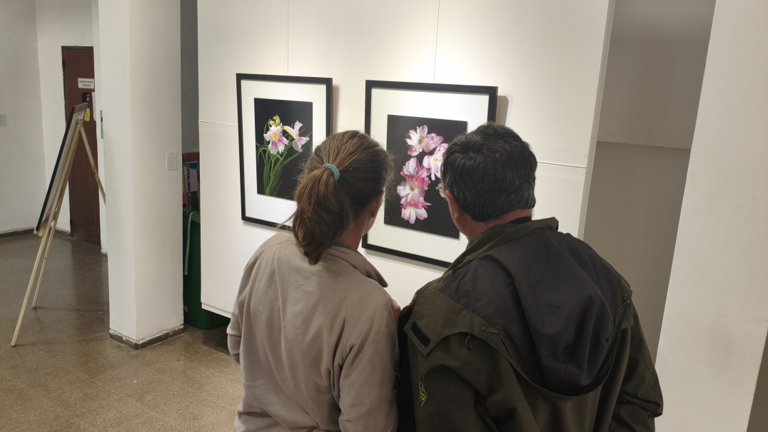 imagen "Floralia Silvestra": Raíces inauguró una muestra fotográfica dedicada a las flores