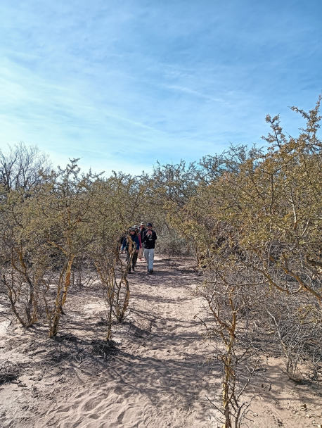 imagen Por tercer año consecutivo, se realizó el viaje de estudio de la materia electiva Recursos Forestales Nativos