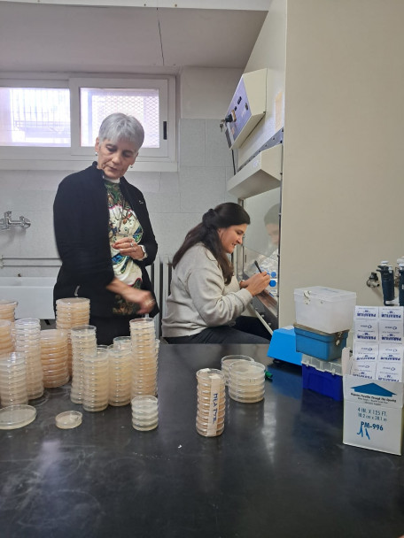 imagen Moving Italianness: una experiencia de cooperación internacional que fortalece la proyección académica de la FCA