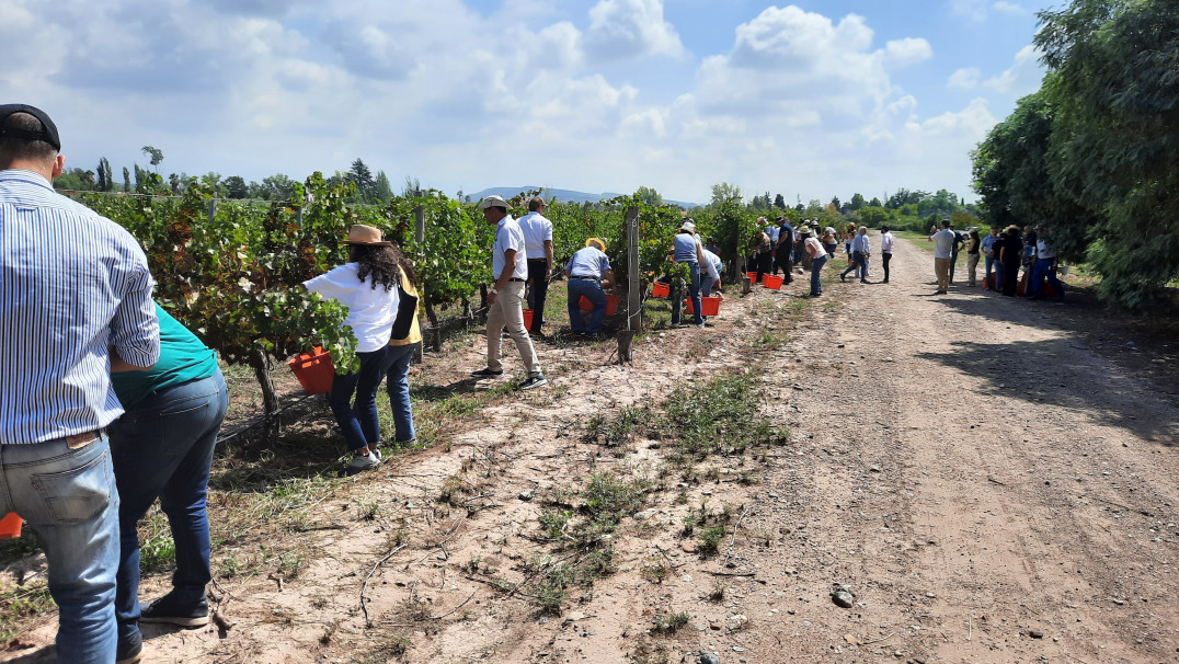 imagen Ciencias Agrarias reunió a referentes de la educación agropecuaria del país como sede del Primer Plenario de AUDEAS 2026