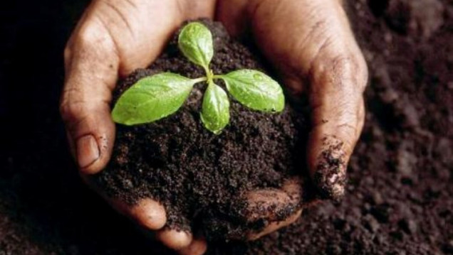 imagen Realizarán la 1º Jornada de "Manejo Sustentable de Agrominerales"