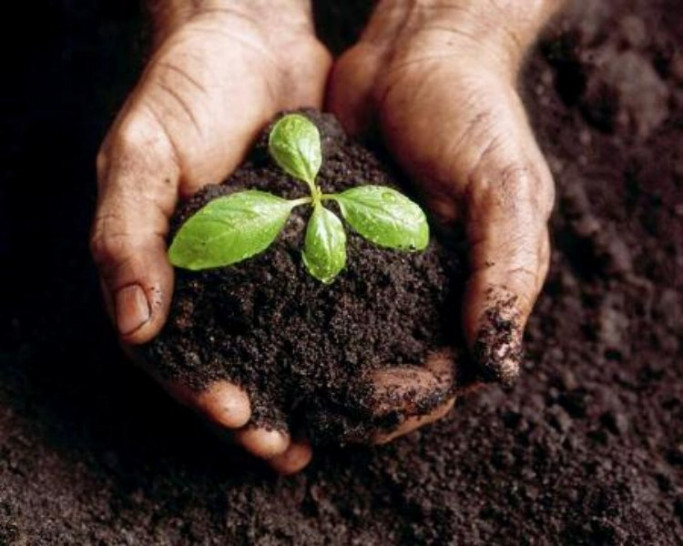 imagen Realizarán la 1º Jornada de "Manejo Sustentable de Agrominerales"
