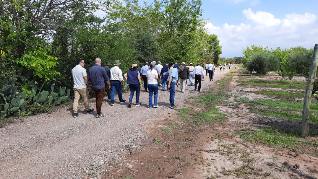 imagen Ciencias Agrarias reunió a referentes de la educación agropecuaria del país como sede del Primer Plenario de AUDEAS 2026
