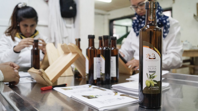imagen Por segundo año consecutivo premian aceites de oliva "De la Facultad" en concursos internacionales