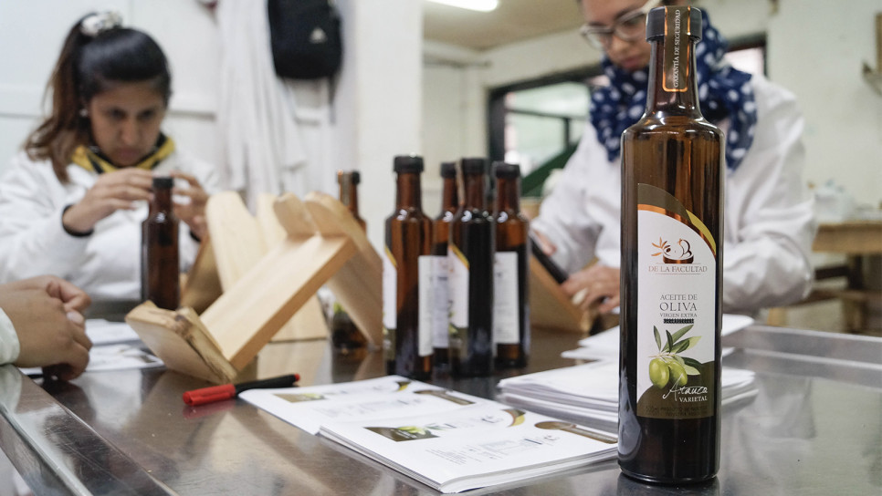 imagen Por segundo año consecutivo premian aceites de oliva "De la Facultad" en concursos internacionales