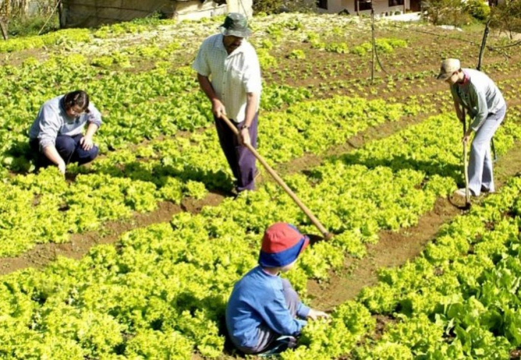 imagen Realizan las Séptimas Jornadas de Agricultura Familiar