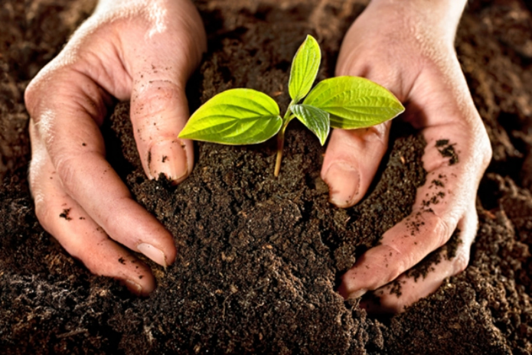 imagen Realizarán seminario sobre agricultura productiva y amigable con el medio ambiente