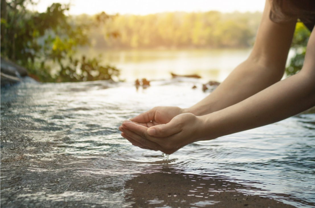 imagen Día Mundial del Agua - Reflexiones sobre nuestra valoración del agua y su verdadero valor