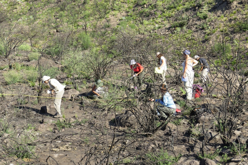 imagen Equipo de la FCA participa en tareas de diagnóstico para la restauración del Cerro Arco