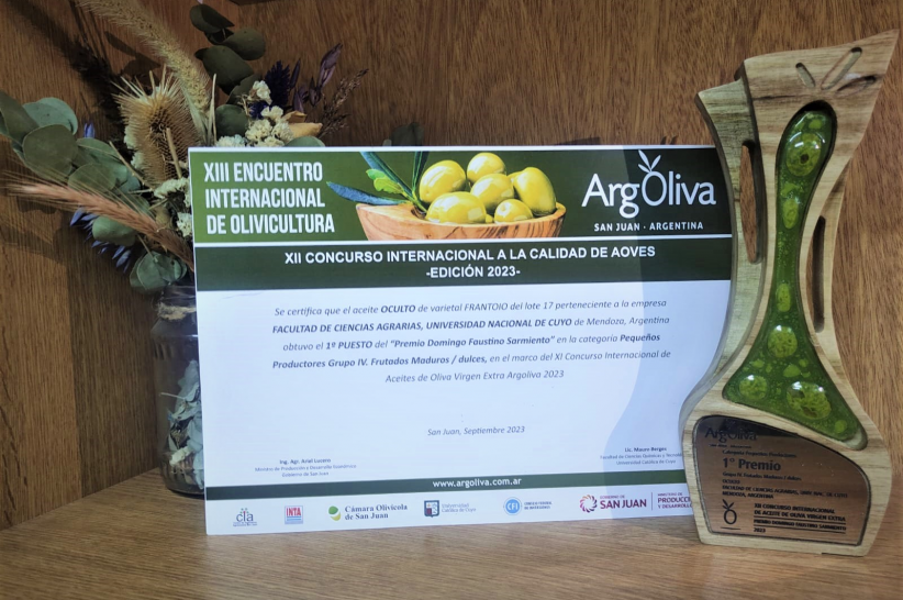 imagen Los aceites de Ciencias Agrarias triunfan en el prestigioso certamen ArgOliva