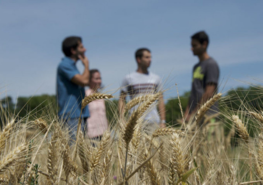 imagen Forman asesores en Ciencias Agropecuarias