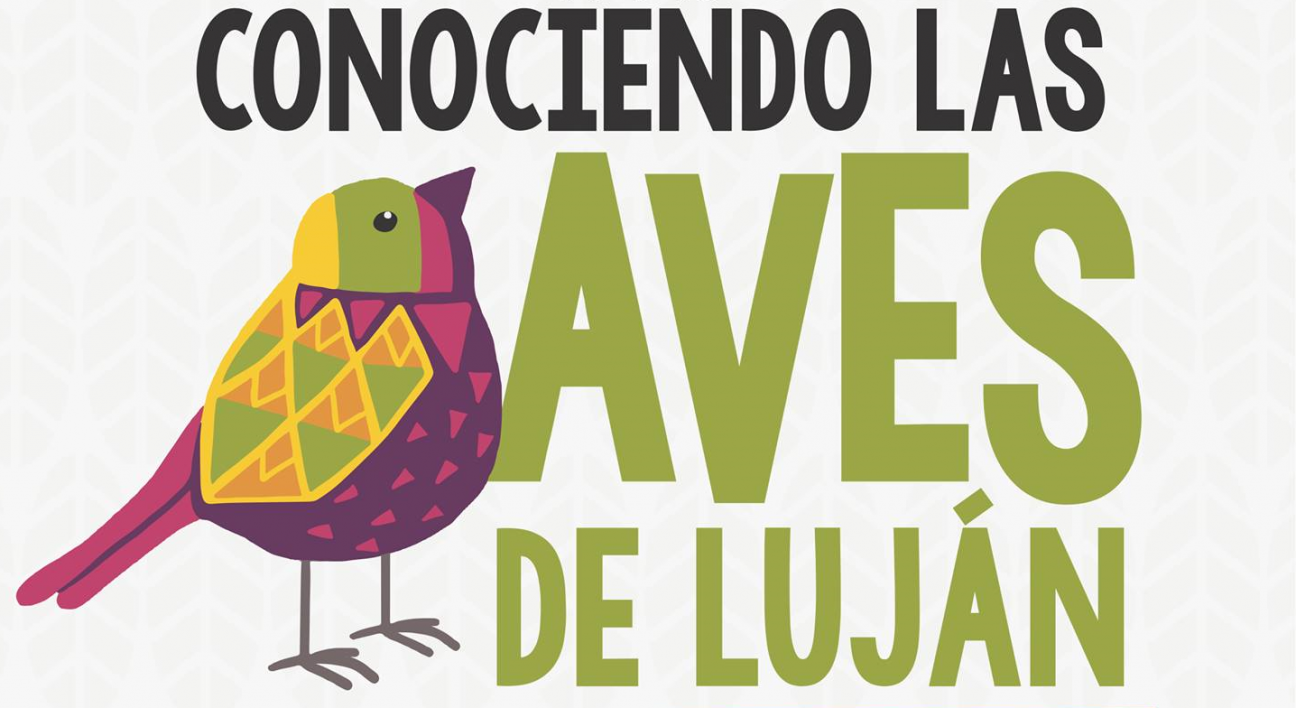 imagen Invitan a taller sobre aves de Luján