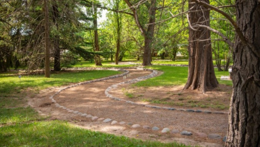 imagen El Jardín Botánico celebrará con actividades gratuitas el Día Internacional de la Fascinación por las Plantas