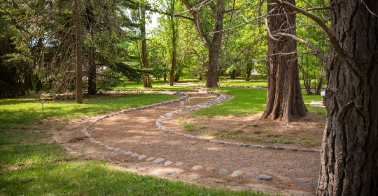 imagen El Jardín Botánico celebrará con actividades gratuitas el Día Internacional de la Fascinación por las Plantas
