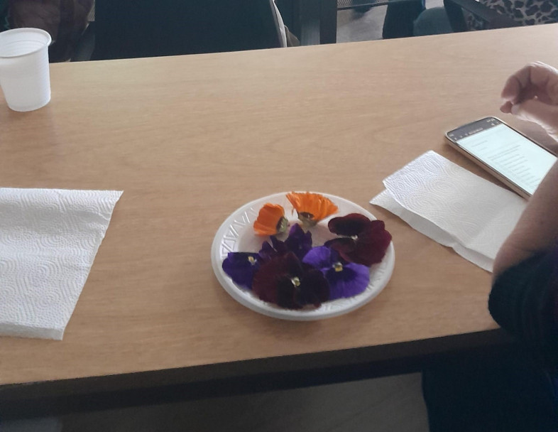 imagen Se realizó el curso-taller de Flores Comestibles en la Facultad de Ciencias Agrarias