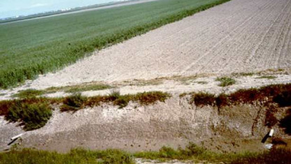 imagen Drenaje Agrícola