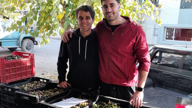 imagen Estudiantes de Ciencias Agrarias convirtieron su pasión por el aceite de oliva en su propia marca