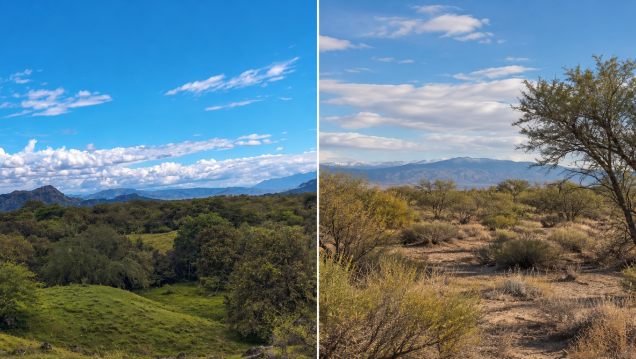 imagen Una charla en Agrarias conectará el bosque seco colombiano con el monte mendocino