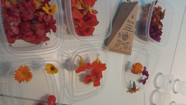 imagen Ciencias Agrarias y el INTA participaron del Seminario de Flores Comestibles en AEHGA