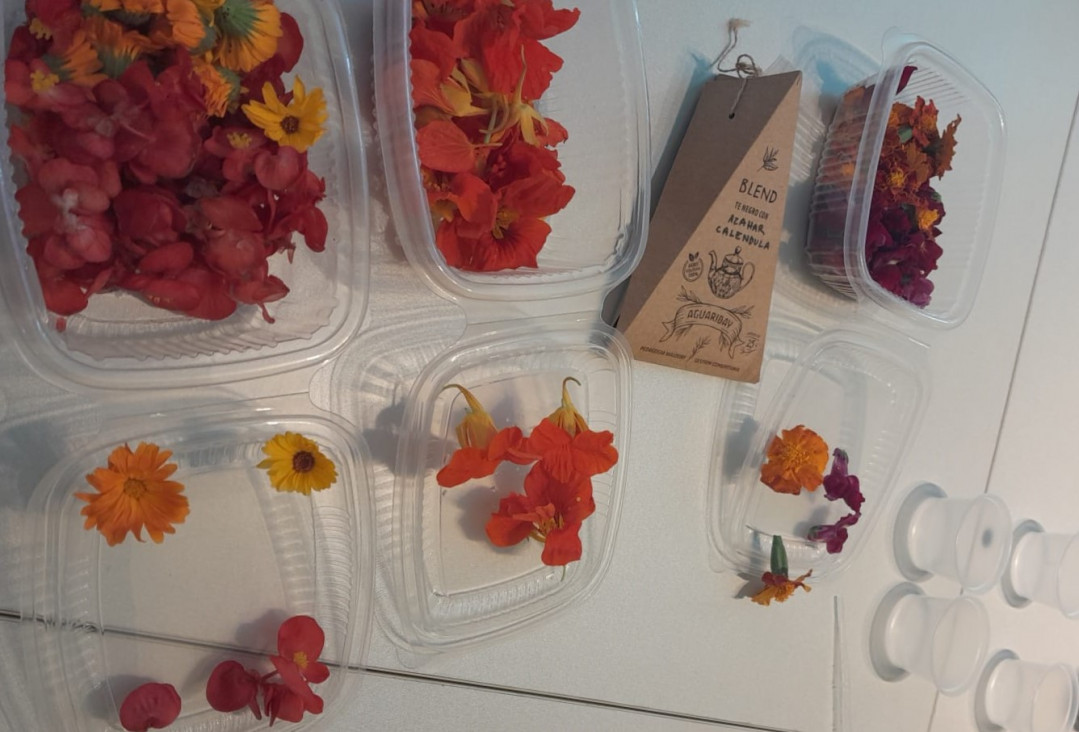 imagen Ciencias Agrarias y el INTA participaron del Seminario de Flores Comestibles en AEHGA