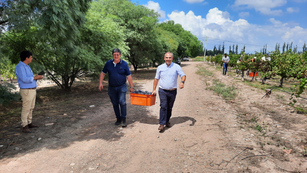 imagen Ciencias Agrarias reunió a referentes de la educación agropecuaria del país como sede del Primer Plenario de AUDEAS 2026
