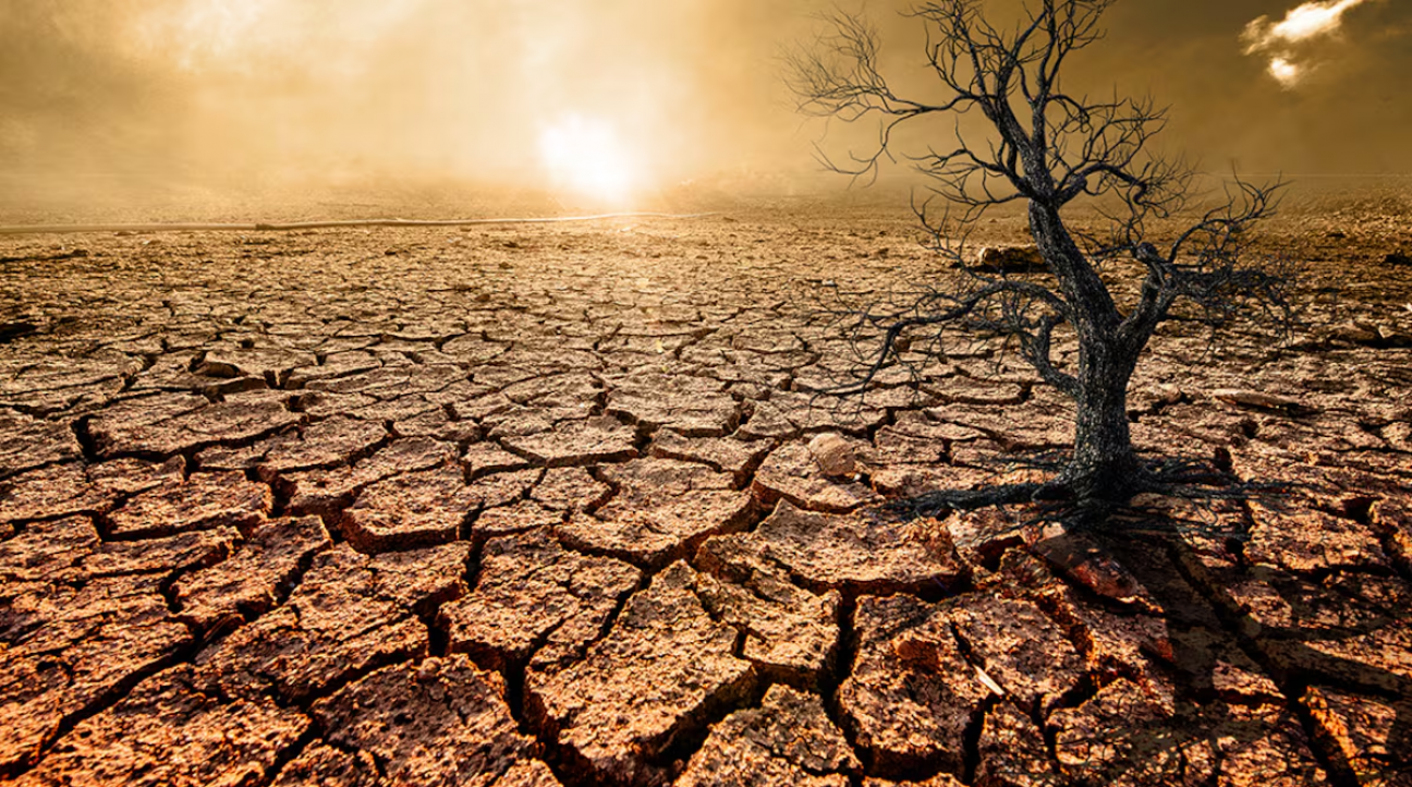 imagen La Facultad de Ciencias Agrarias será parte del "Segundo Taller Virtual en el Manejo de Datos de Contaminación Ambiental"