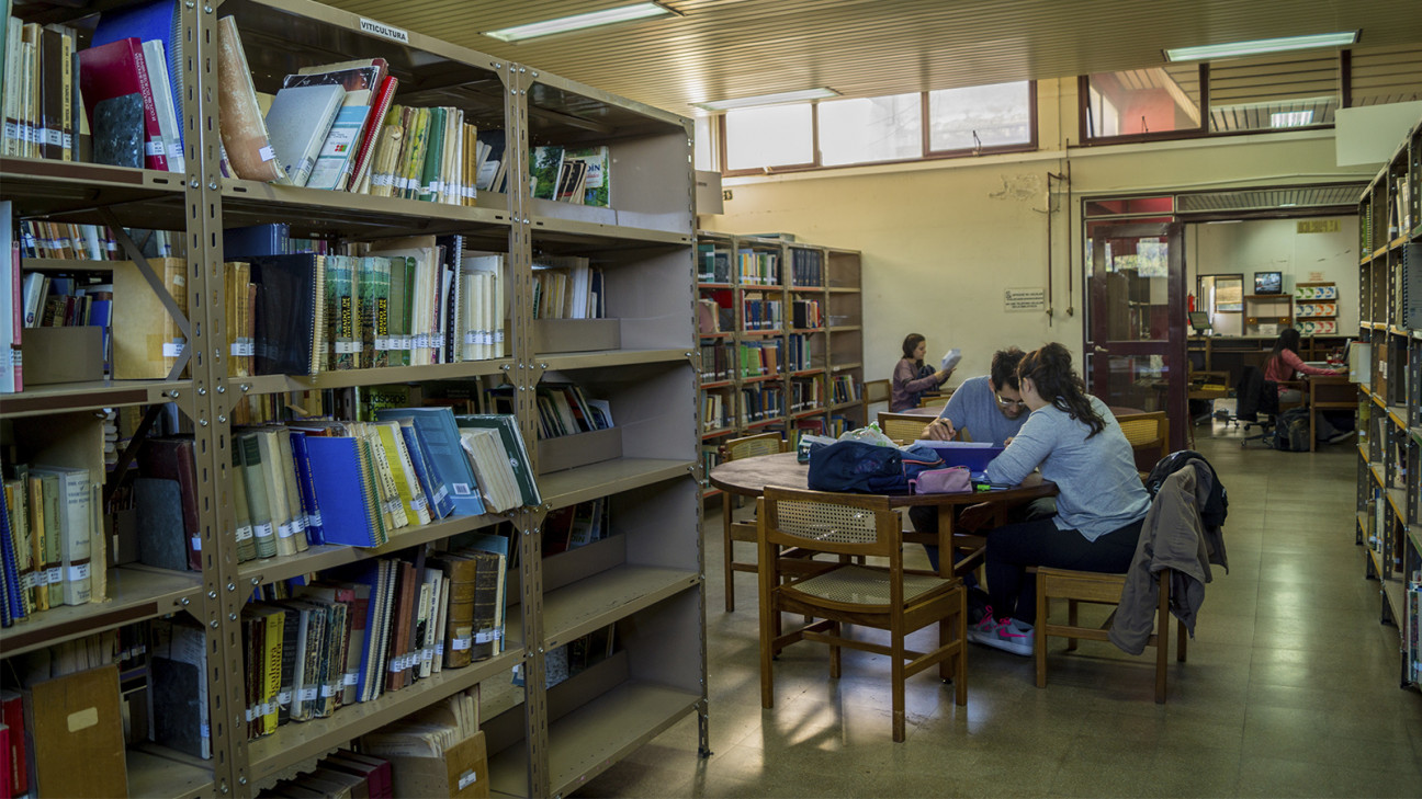 imagen La Facultad de Ciencias Agrarias remodela su biblioteca