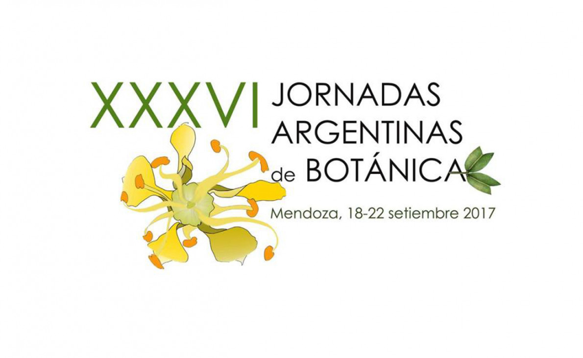 imagen Realizaron las IV Jornadas Binacionales de Botánica