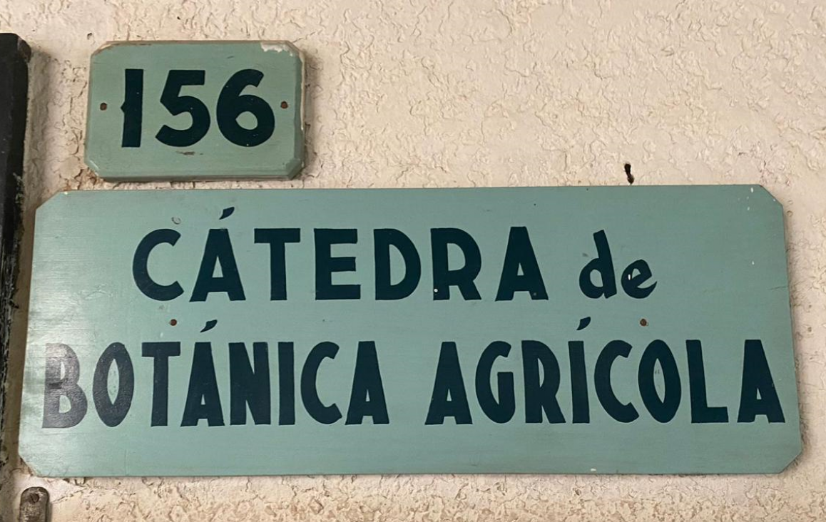 imagen Llamado a cobertura de cargos interinos de la Cátedra de Botánica Agrícola