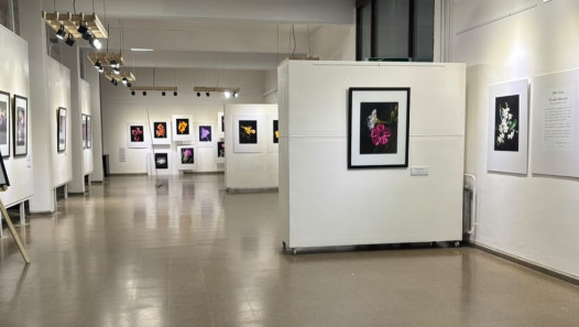imagen "Floralia Silvestra": Raíces inauguró una muestra fotográfica dedicada a las flores