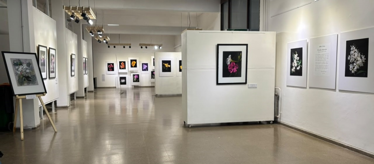 imagen "Floralia Silvestra": Raíces inauguró una muestra fotográfica dedicada a las flores