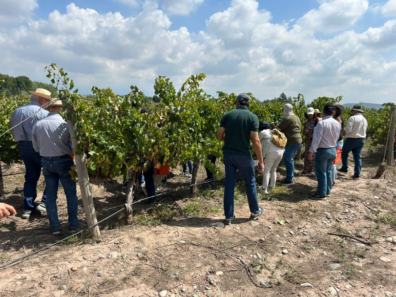imagen Ciencias Agrarias reunió a referentes de la educación agropecuaria del país como sede del Primer Plenario de AUDEAS 2026