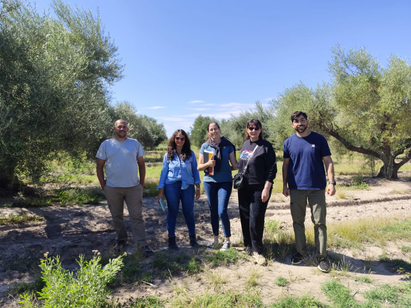 imagen Moving Italianness: una experiencia de cooperación internacional que fortalece la proyección académica de la FCA