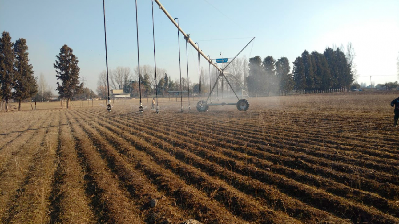 imagen Ciencias Agrarias incorpora nueva tecnología para el riego de sus parcelas