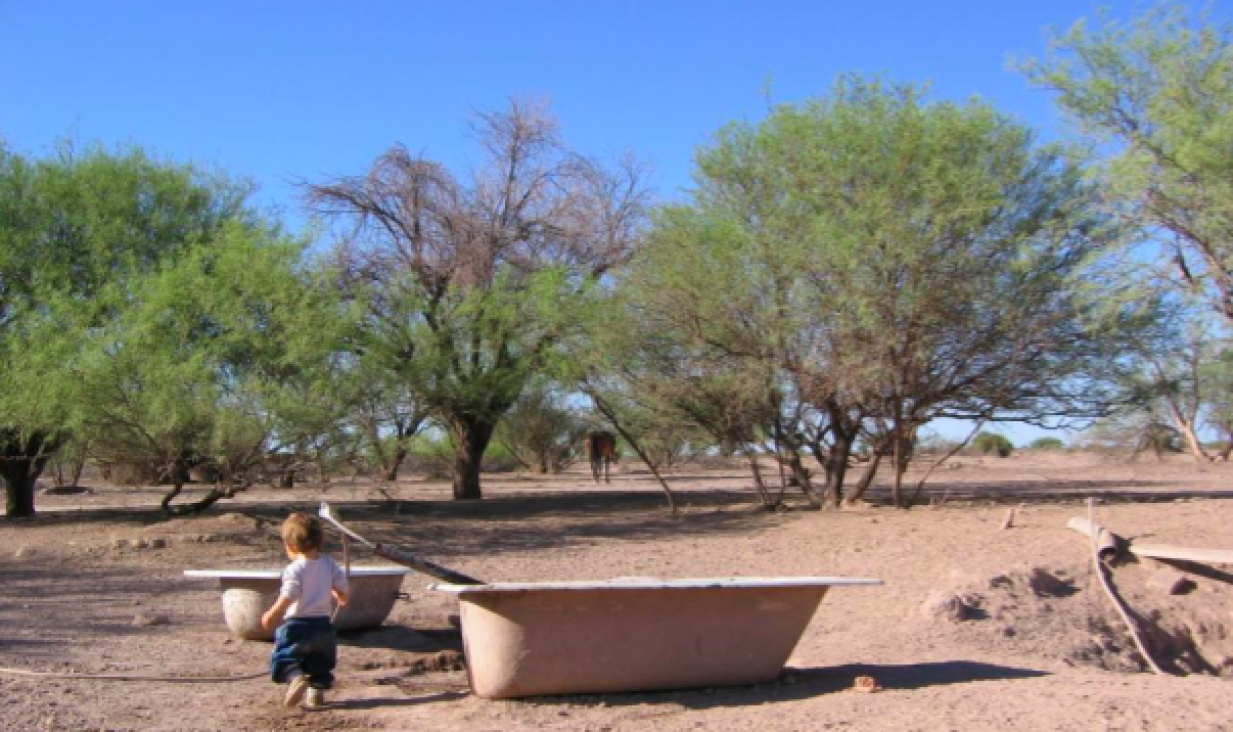 imagen Abren inscripciones para optativa en Antropología Ambiental