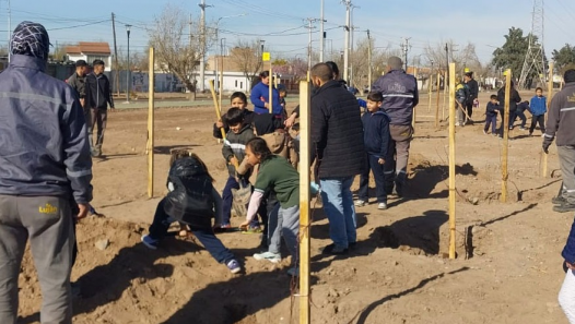 imagen La Facultad de Ciencias Agrarias impulsa la creación de microbosques en Luján