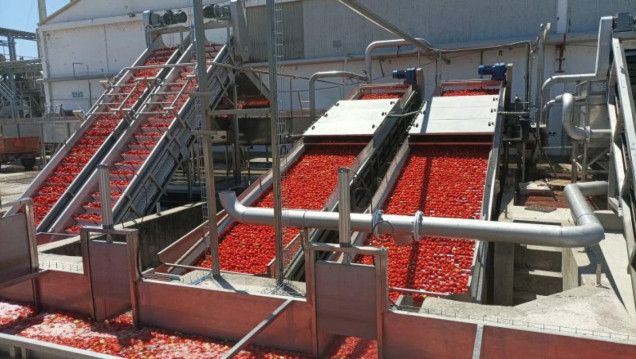 imagen Llamado a cobertura de cargo efectivo de la Cátedra de Industrias Agrarias