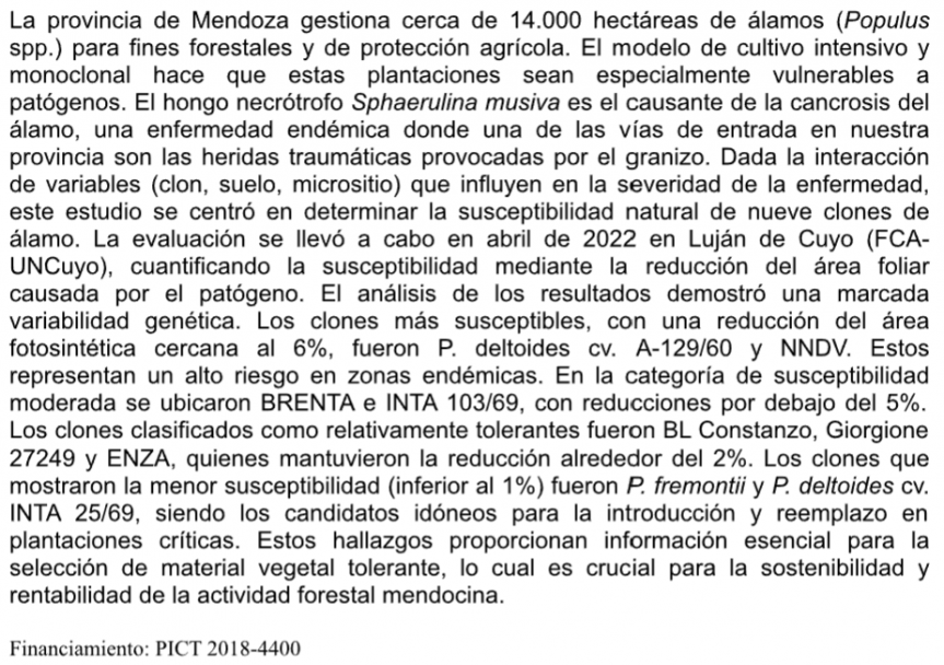 imagen Se realizará el decimoséptimo encuentro del Ciclo de Seminarios IBAM 2025
