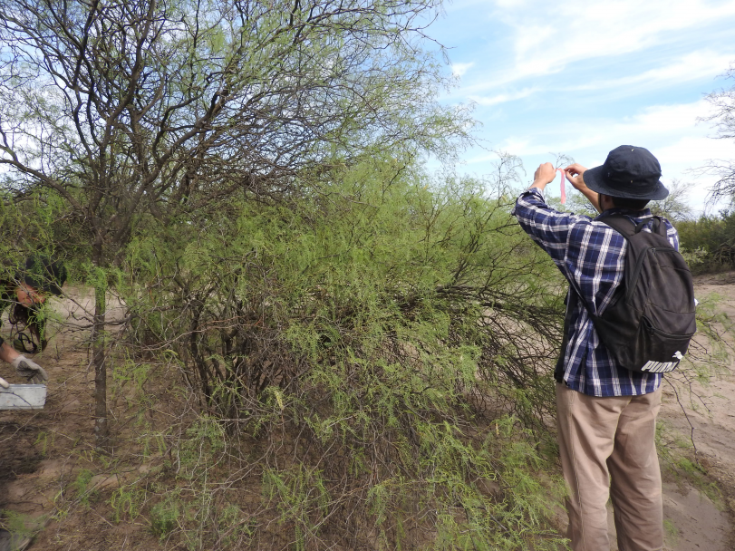 imagen Estudiantes de Ciencias Agrarias visitaron las lagunas Guanacache, Desaguadero y Bebedero